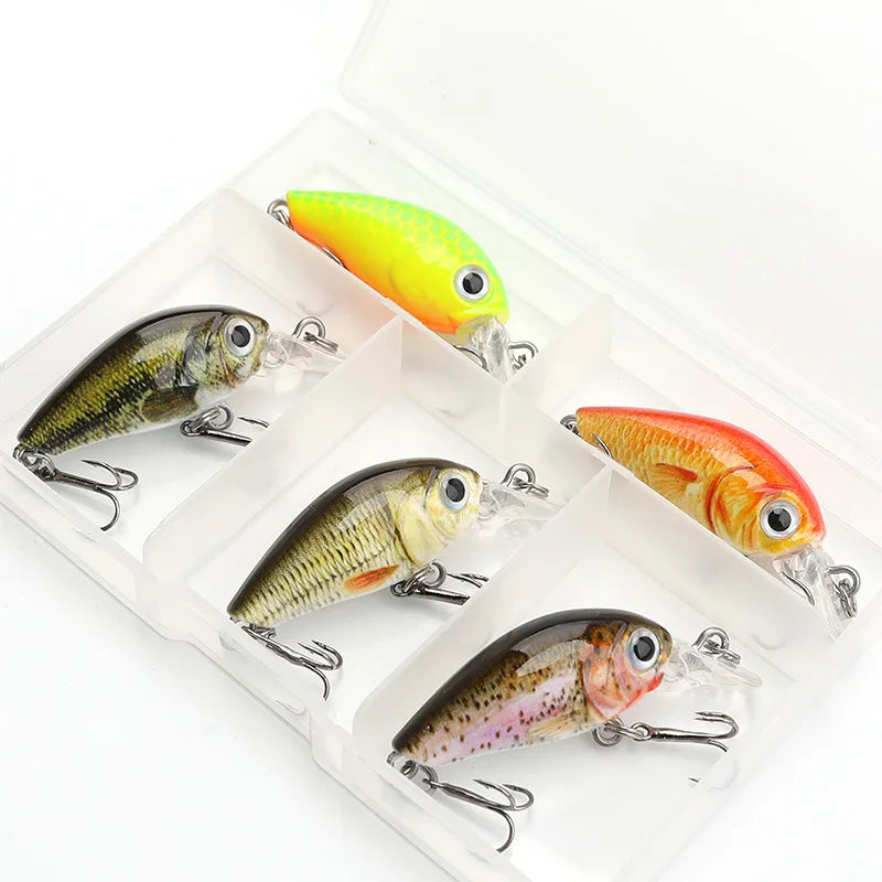 Mini crankbaits de 3,6 cm y 3,6 g, pack de 5 con caja