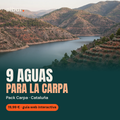 Portada del Pack Carpa · Cataluña, guía interactiva de pesca de albur