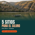 Portada del Pack Siluro · Cataluña, guía interactiva de pesca de albur